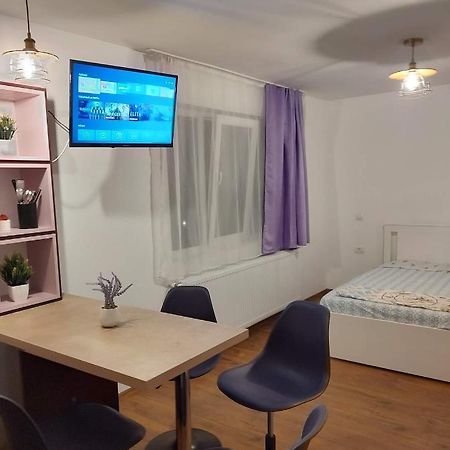 Apartmán Garsoniera Dania&Petru 1 Tîrgu Ocna Exteriér fotografie