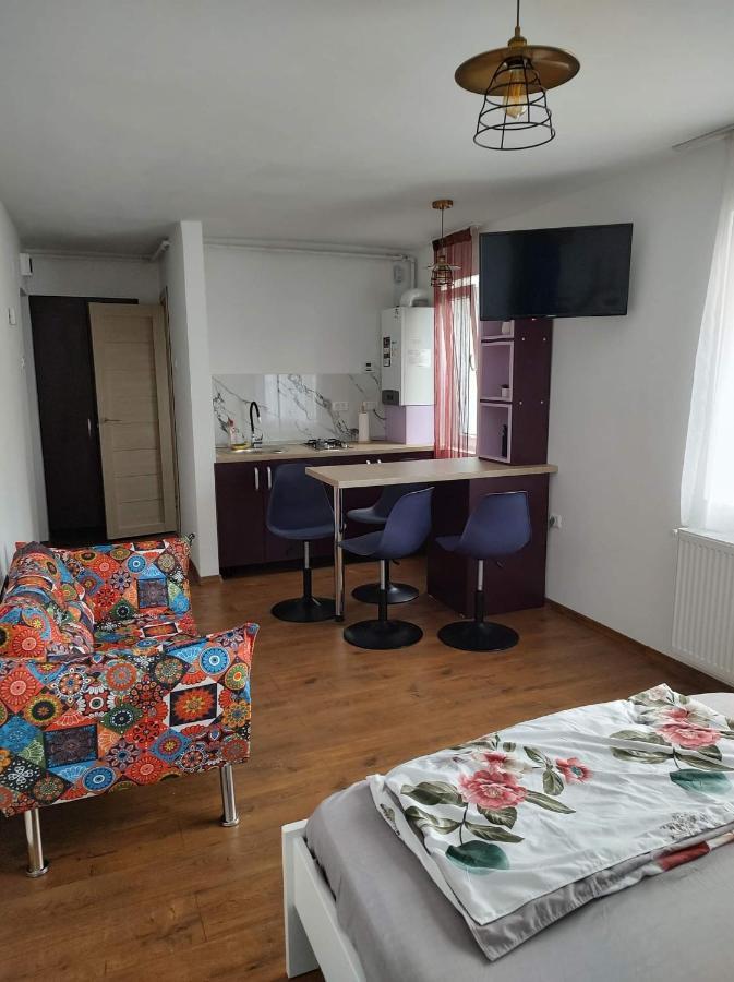 Apartmán Garsoniera Dania&Petru 1 Tîrgu Ocna Exteriér fotografie